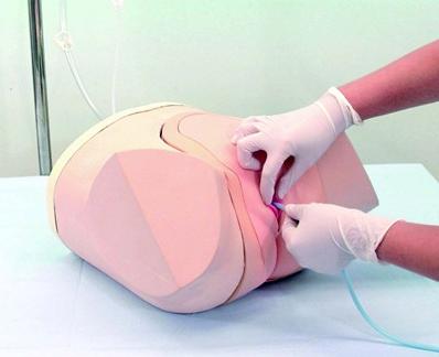 女性导尿模拟器